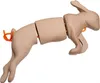 Mystique Bunny Dummy Kaninchendummy klein Produktbild-Vorschau 4