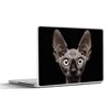 MuchoWow® Laptop Aufkleber Sticker Cover Katze - Haustiere Produktbild-Vorschau 1