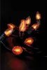 Licherkette - 10 Flammen - orange Náhľad obrázku produktu 9