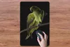 MuchoWow® Mauspad Mousepad Papagei - Vogel - Zweig 40x60 cm Produktbild-Vorschau 3