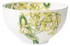Villeroy & Boch Amazonia Bol 500ml Produktbild-Vorschau 6