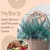 Blumentopf Wand Wandblumentopf Wandvase Anthrazit Produktbild-Vorschau 3