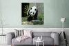 MuchoWow® Poster Panda - Baumstamm - Höhle 75x75 cm - Wand Produktbild-Vorschau 5