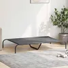 A raised dog bed with a gray mesh surface and black metal frame is placed on a gray rug in a room with a potted plant and a framed picture on the wall. Anteprima dell’immagine prodotto