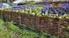 Weidenzaun 100x30cm Satz von 5 Stück. Weidenpalisade für Produktbild-Vorschau 13