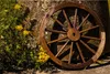 Wagenrad Sommerset, Ø 55 cm, Tiefe 3 cm, Achsloch Ø 3 cm Produktbild-Vorschau 7