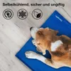 Braun-weißer Hund schläft auf einer blauen Haustier-Kühlmatte auf einem hellen Holzboden Náhled obrázku produktu