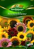Quedlinburger Saatgut - Sonnenblumen Summertime Mischung - Produktbild-Vorschau 1