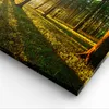 Bild auf Leinwand - Leinwandbild - Wald grün Sonnenstrahlen Produktbild-Vorschau 5