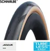 Pneumatico Schwalbe Pro One TT HS493 fb. 28"700x28C Anteprima dell’immagine prodotto 6