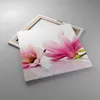 Bild auf Leinwand - Leinwandbild - Magnolie blume natur Produktbild-Vorschau 2