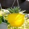 A yellow hanging planter with a spider plant inside, suspended by chains. Podgląd zdjęcia produktu