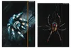 Pochette à élastique A4 « Araignée » Starpak 559732 Voir les images du produit 1
