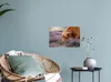 MuchoWow® - Wierderverwendbar - Selbstklebend Produktbild-Vorschau 6