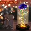 Minicee Ewige Rose in Acrylglas mit LED – 18 cm – Produktbild-Vorschau 6