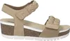 JOSEF SEIBEL Quinn 22 | Sandales pour Femmes | beige Voir les images du produit 2