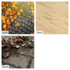 A collage of three images: fallen leaves on cobblestones, sand, and trash on pavement. Produktbild-Vorschau