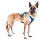 Curli Belka Harness Air-Mesh, Hund, Zugfreier Gurt, 4XL, Produktbild-Vorschau 3