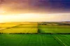 Muralo XXL Selbstklebende FOTOTAPETE FELD Gruen Landschaft Produktbild-Vorschau 2