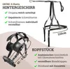 Esposita Einspännergeschirr "Anatomic" Schwarz Gr. X-Shetty Produktbild-Vorschau 4