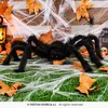 Guirca Spinne 70 Cm    One Size Produktbild-Vorschau 4