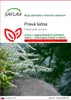 SAFLAX - Pravá lúčna - Filipendula ulmaria - 500 Semená Náhľad obrázku produktu 1
