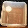 Terrario Insect Box Compact 12x12x7cm Terrario Voir les images du produit 6