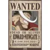 Plakát One Piece Wanted Bělovous 61x91,5cm Náhled obrázku produktu 1