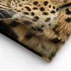 Bild auf Leinwand - Leinwandbild - Tiere Leopard wilde Produktbild-Vorschau 5