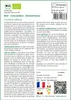 SAFLAX  -- Concombre - Marketmore - 20 graines - Cucumis Voir les images du produit 3
