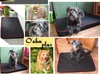 A collage of images showing dogs on dog beds, a woman with a dog, and text. Produktbild-Vorschau