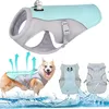 Kühlweste Hunde, Sommer Atmungsaktive Mesh Hundejacke Produktbild-Vorschau 1