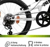 Galano FS180 Vélo enfant 20 pouces à partir de 6 ans Voir les images du produit 4