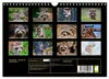 Waschbär - Niedlicher Allesfresser (Wandkalender 2027 DIN Produktbild-Vorschau 2