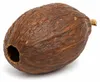 Kakaoschote getrocknet 10-15 cm echte Kakaofrucht ohne Produktbild-Vorschau 1