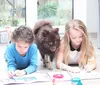 6 Schulmalfarben mit je 20ml / 6 verschiedene Farben Produktbild-Vorschau 3