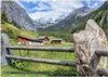 Wunderschönes Osttirol (Wandkalender 2026 DIN A2 quer), Produktbild-Vorschau 6