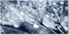Tulup Glas-Bild -140x70- Wandkunst Dekorative Wand für Produktbild-Vorschau 1