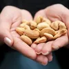 Pi-nuts - Cashewnuss 100% natürlich - ohne Zusatz und Produktbild-Vorschau 8
