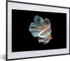 MuchoWow® MuchoWow® Gerahmtes Poster Fisch - Schwanz - Produktbild-Vorschau 1