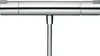 Hansgrohe Termostato Ecostat CL 1001 Doccia AP DN15 cromo Anteprima dell’immagine prodotto 1