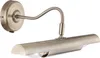 A single picture light fixture with a brass finish, shown against a white background. Anteprima dell’immagine prodotto