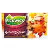 Pickwick Spices Autumn Storm Schwarzer Tee 20 x 2g Produktbild-Vorschau 1