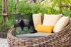 MuchoWow® Outdoor Kissen - Panda - Baum - Tiere - Natur - Produktbild-Vorschau 3