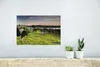 MuchoWow® Poster Kuh - Gras - Sonnenuntergang 30x20 cm - Produktbild-Vorschau 5