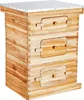 SucceBuy Bienenstock 30 Rahmen Starter Kit, mit Bienenwachs Produktbild-Vorschau 1