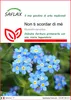 SAFLAX  - Non ti scordar di mé - 150 semi - Myosotis Anteprima dell’immagine prodotto 1
