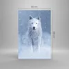 Bilder auf glas - Einteilig - Weiß Wolf Schnee - 80x120cm - Produktbild-Vorschau 3