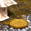 A bird feeder with seeds and a bird in a natural outdoor setting. Produktbild-Vorschau