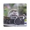 MuchoWow® Mauspad Mousepad Igel - Kamera - Buch 30x30 cm - Produktbild-Vorschau 1